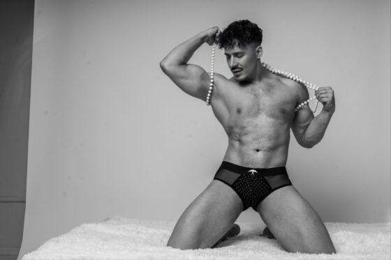 Fecske - Rocky - Image 2
