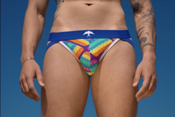 Fecske - Pride Jockstrap - Image 2